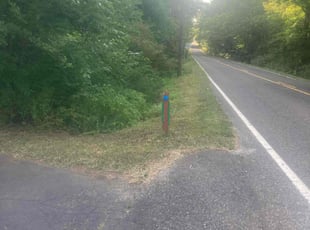Monica K.'s Yard Cutting service result