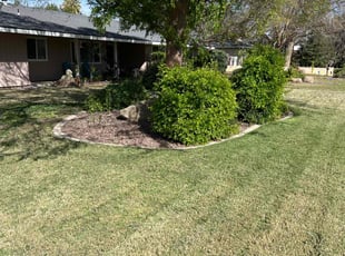 Anna L.'s Lawn Service service result