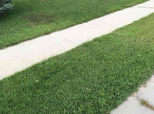 Jennifer C.'s Lawn Mowing Service service result