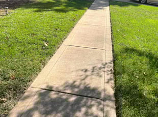 Stephany C.'s Lawn Service service result