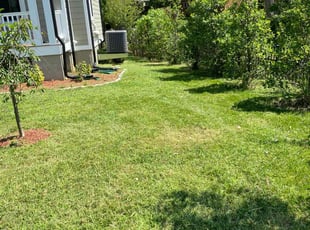 Brenda H.'s Lawn Service service result