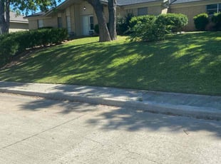Suhaib N.'s Lawn Service service result