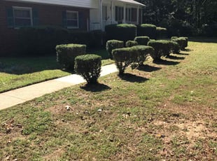 Bush Trimming by Davon Lightfoot for James W. in Richmond, VA