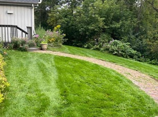 Mandy R.'s Lawn Mowing service result