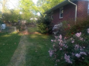 Leaf Removal by James Mozelle for Kamili N. in Newport News, VA