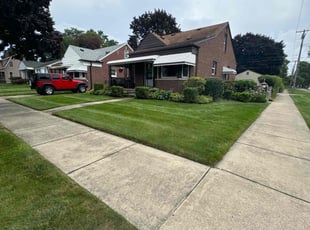 Anil S.'s Lawn Service service result