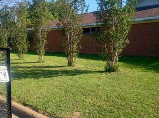Bush Trimming by Brittany Valverde for Enrique P. in Galena Park, TX