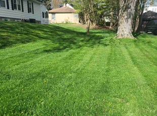 Susan B.'s Lawn Care service result