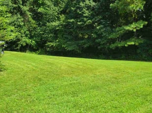 Jarvis H.'s Grass Cutting service result