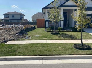 Kfir G.'s Lawn Maintenance service result