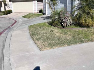 Lisa J.'s Lawn Service service result