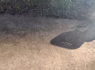 Cleanups by William Thomas for Travis T. in Altamonte Springs, FL