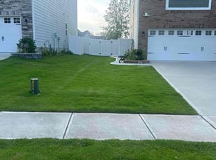 Thomas R.'s Lawn Mowing service result