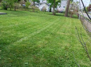 Chantel N.'s Lawn Mowing Service service result