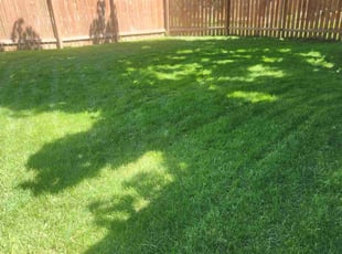 Larry J.'s Lawn Maintenance service result