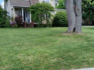 Roxanne C.'s Lawn Mowing service result