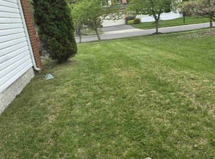 Jennifer N.'s Lawn Mowing service result