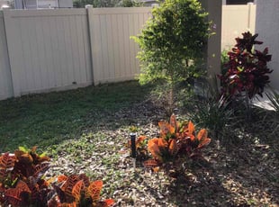 Weeding by Marcus Mills for Amoral B. in Land O' Lakes, FL