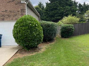 Vertla B.'s Bush Trimming service result