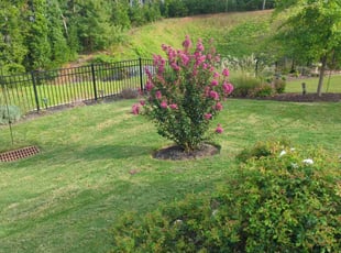 Marcia H.'s Grass Cutting service result