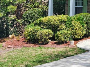Weeding by Rodney Tucker for Susan F. in Union City, GA