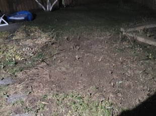 Leaf Removal by Kyle Anderson for Chris B. in Burnsville, MN