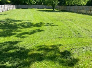 Tiffany C.'s Lawn Maintenance service result