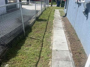Robert B.'s Lawn Mowing service result