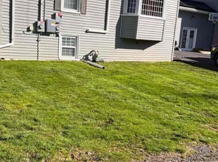 Ronald H.'s Grass Cutting service result