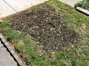 Landscaping by Lloyd Tillman for Jose M. in Philadelphia, PA