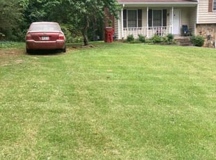 Cleanups by Shannon Costley for S. in Conyers, GA