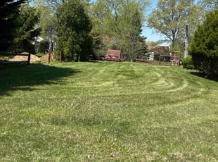 Shweta K.'s Lawn Care service result