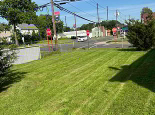 Petra C.'s Lawn Service service result