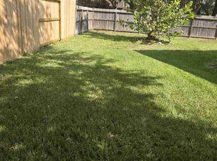 Geoffrey S.'s Lawn Mowing service result