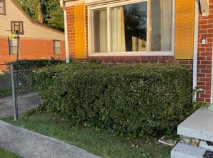 Bush Trimming by Nelly Arredondo for Monet H. in Capitol Heights, MD