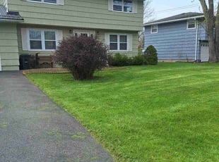 Bryan D.'s Yard Cutting service result