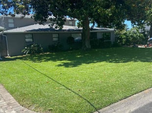 Carla B.'s Lawn Mowing service result