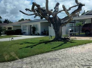 Brandon G.'s Lawn Service service result