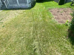 James D.'s Lawn Maintenance service result