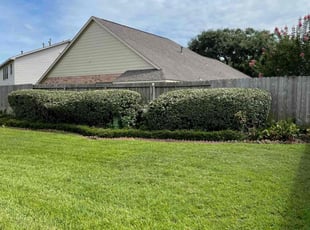 Bush Trimming by Abraham Flores for Chris D. in Houston, TX