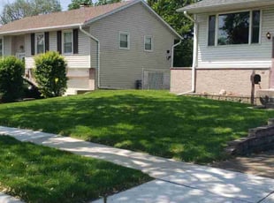 Jamal L.'s Lawn Maintenance service result