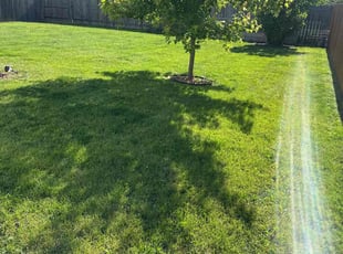 Laura D.'s Lawn Care service result