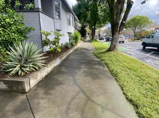Stephen D.'s Lawn Mowing service result
