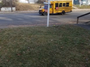 Leaf Removal by Kyle Anderson for henock y. in Minneapolis, MN