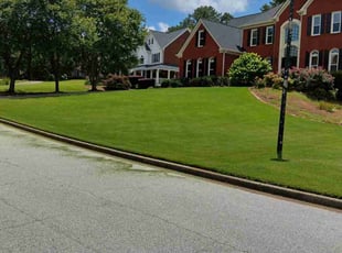 Justin C.'s Grass Cutting service result