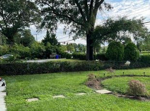Bush Trimming by Ace Morris for Richard J. in University Park, MD