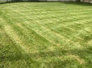 Jennifer B.'s Lawn Service service result