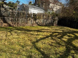 Leaf Removal by Michael Gengler for LaVina S. in Parkville, MD