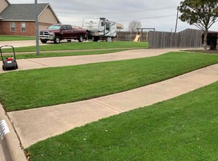 Tommy M.'s Lawn Mowing service result