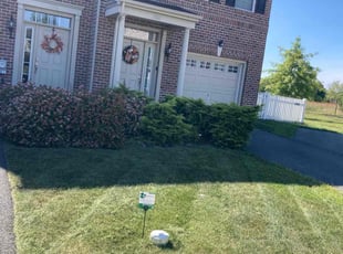 Carla B.'s Lawn Service service result